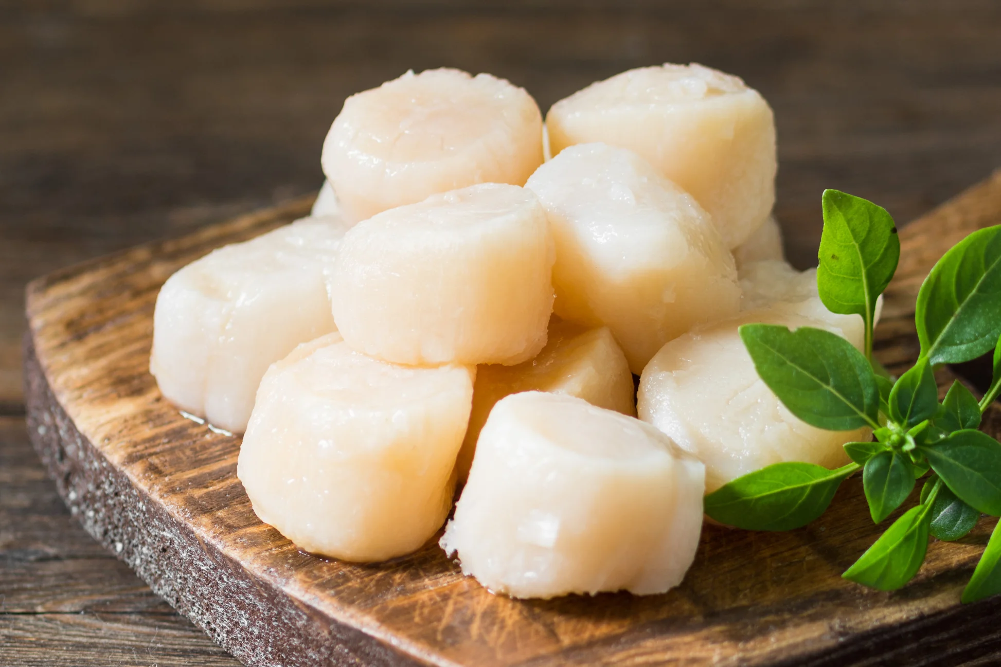 Fresh Jumbo Sea Scallops (per pound)