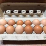 Farm-Fresh Large Brown Eggs, 1 Dozen
