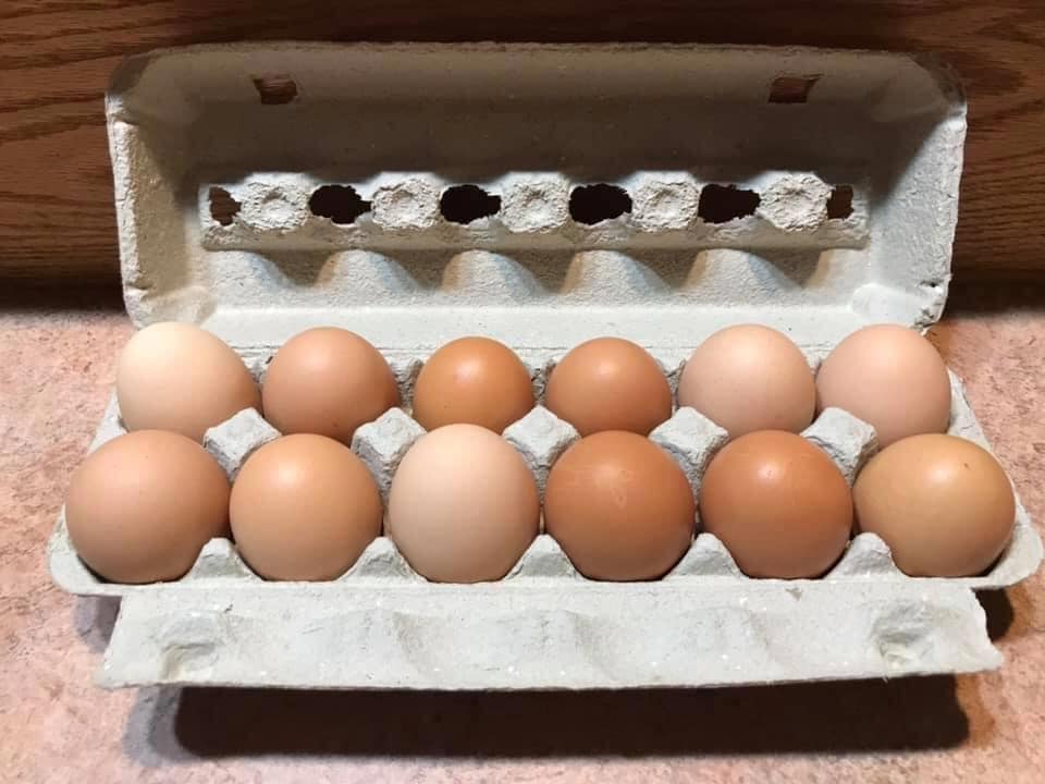 Farm-Fresh Large Brown Eggs, 1 Dozen